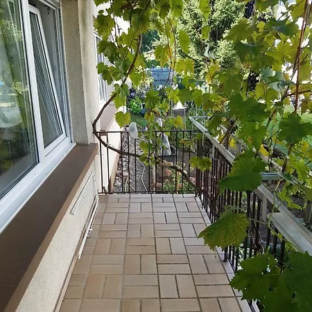 Schamne Apartment *
