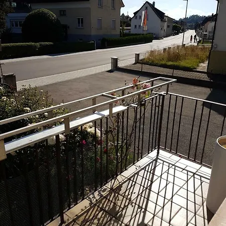 Schamne Apartment Wutoschingen